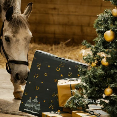 Horse-Themed Christmas Advent Calendar
