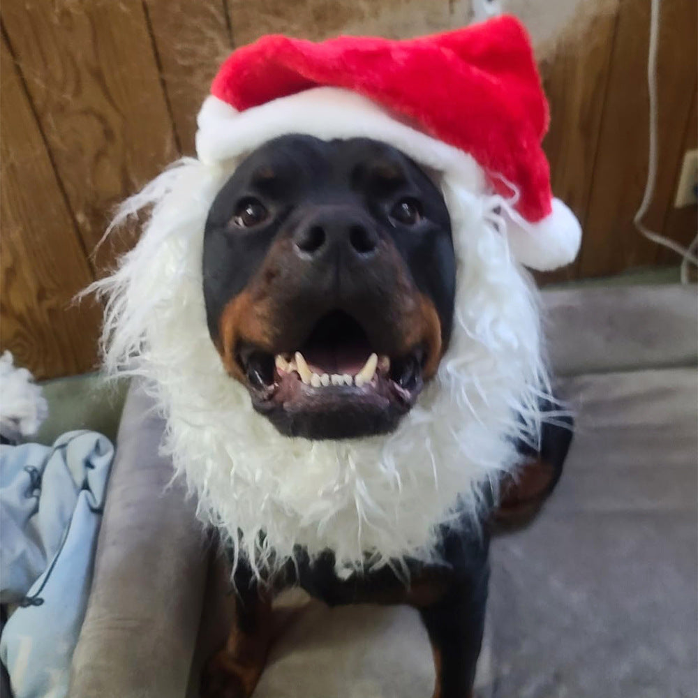 Pet Lion Christmas Hat Costume