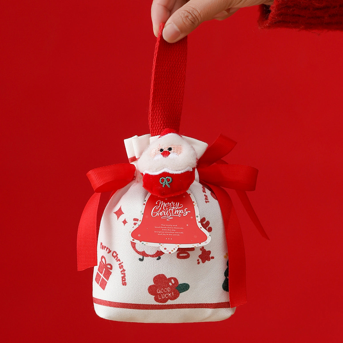 Christmas Themed Gift Bag