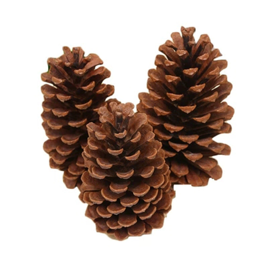 Pinecone Christmas decorations