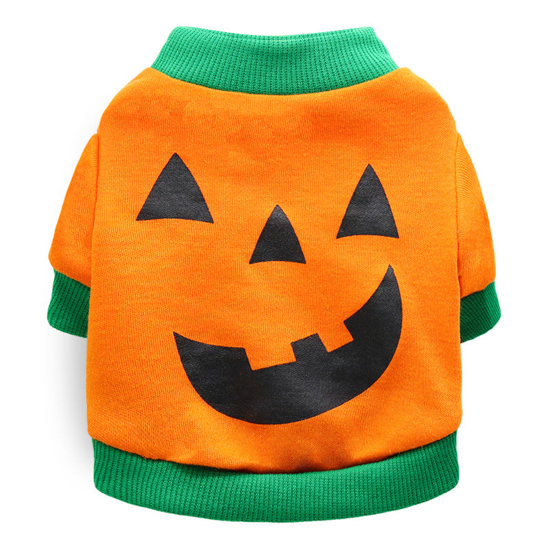 Halloween and Christmas pet costumes