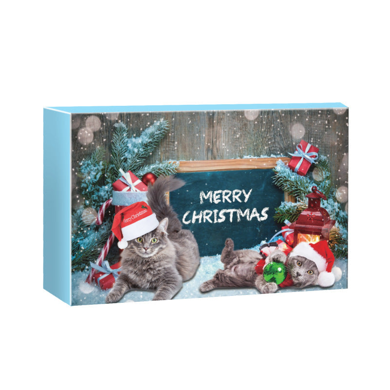 Christmas Advent Calendar Rubber Duck Toy Set