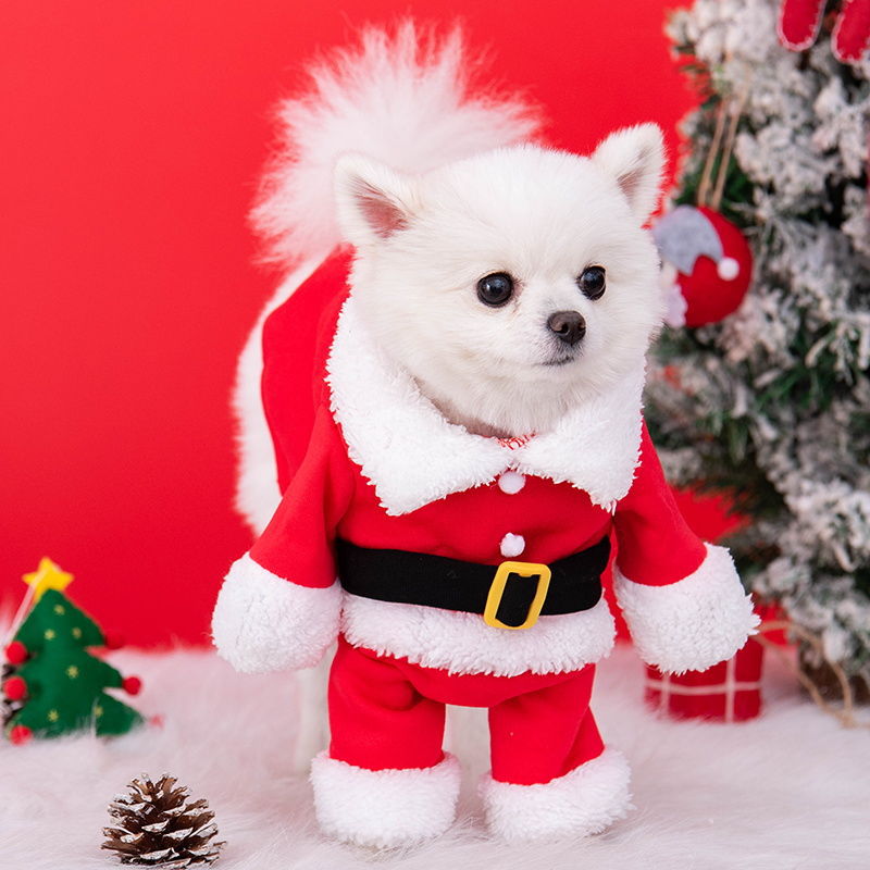 Dog Christmas Costume Upright Outfit with Hat