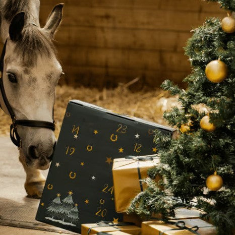 Horse-Themed Christmas Advent Calendar