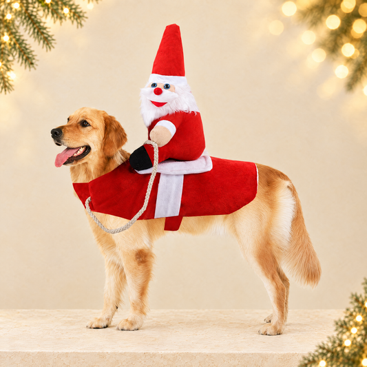 Large dog clothes for Christmas — ivory Christmas product photograph